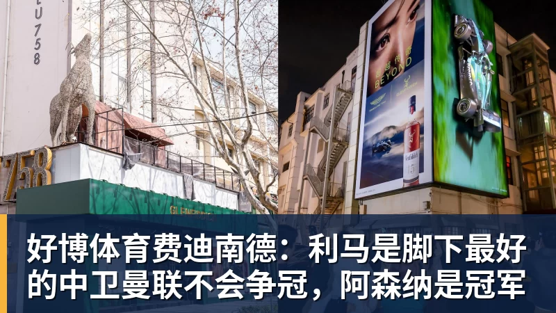 好博体育费迪南德:利马是脚下最好的中卫曼联不会争冠,阿森纳是冠军