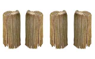 什么生肖的女子最盛产富太太命？