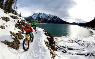 属羊男配属猴女能得多少分？