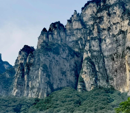 属猴人为什么容易发财？3大天赋+2个致命弱点！