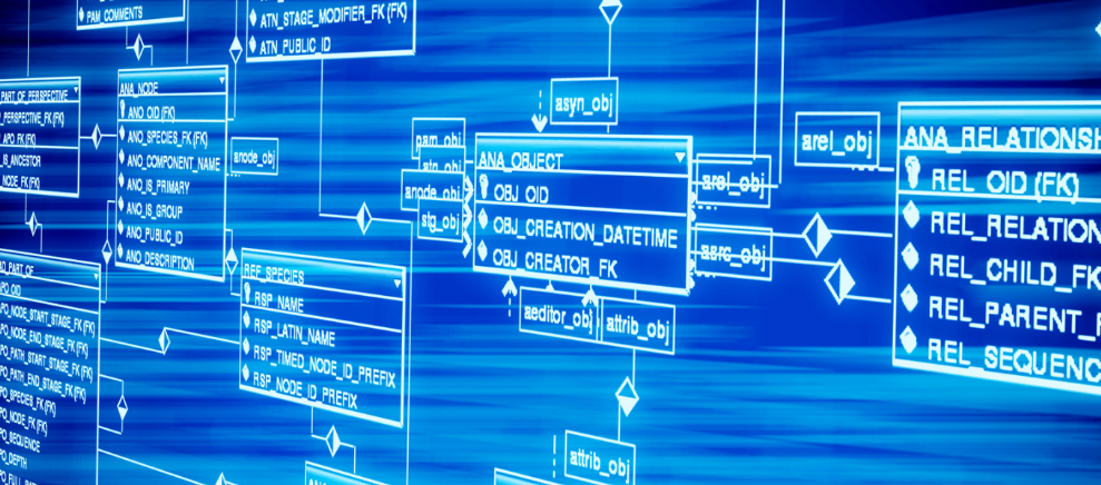 蛇年贺岁赋《蛇赋》亮相武汉蛇山 改一字奖千元