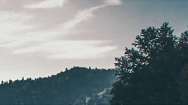 十二生肖“住”进口袋公园