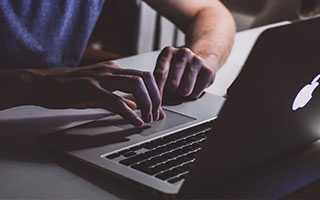 十二生肖“住”进口袋公园